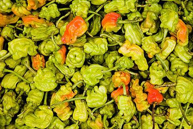 兄弟 拉我一把！ 合作爬山游戏《PEAK》”登顶“Staem在线榜